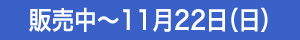販売中～11月22日（日）