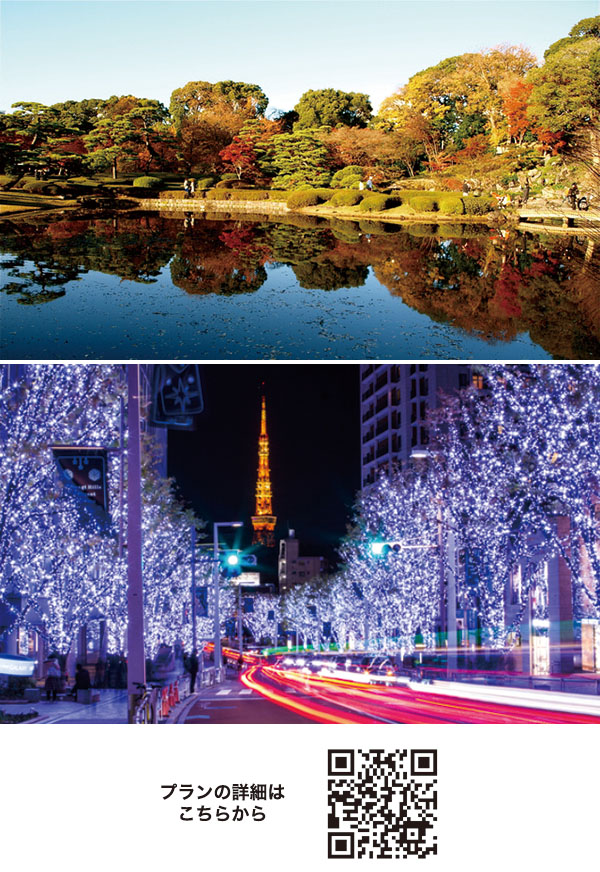 東京紅葉名所5景＆都内イルミネーションめぐりバスツアー ～和食御膳のご昼食付～