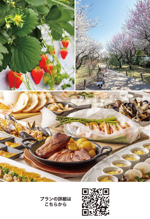 【ようこそ練馬ぶらり旅】イチゴ摘み取り体験&田柄梅林公園の梅観賞バスツアー ～ホテルカデンツァ東京のランチビュッフェ付～