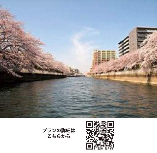 【日本橋出船】お花見船を満喫♪ 桜の運河探訪・3大運河お花見クルーズ＆日本橋ランチ